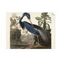 Picture of Vintage Heron Bird _GroupedProduct_Rectangle_Landscape_Unframed_Print_Only_