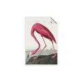 Picture of Vintage Pink Flamingo _GroupedProduct_Rectangle_Portrait_Unframed_Print_Only_