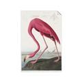 Picture of Vintage Pink Flamingo _GroupedProduct_Rectangle_Portrait_Unframed_Print_Only_