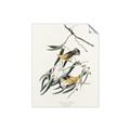 Picture of Two Yellow Warbler Birds _GroupedProduct_Rectangle_Portrait_Unframed_Print_Only_