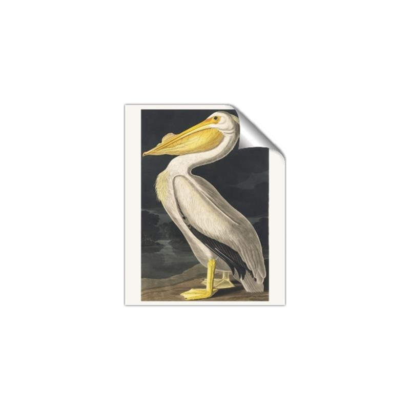 Picture of Vintage White Pelican _GroupedProduct_Rectangle_Portrait_Unframed_Print_Only_