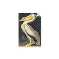 Picture of Vintage White Pelican _GroupedProduct_Rectangle_Portrait_Unframed_Print_Only_