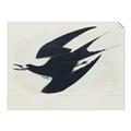 Picture of Vintage Black Sooty Tern _GroupedProduct_Rectangle_Landscape_Unframed_Print_Only_
