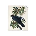 Picture of Raven From Birds of America (1827) _GroupedProduct_Rectangle_Portrait_Unframed_Print_Only_