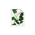 Picture of Nostalgic Green Murgrona Leaves _GroupedProduct_Rectangle_Portrait_Unframed_Print_Only_