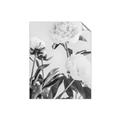 Picture of Romantic Blur Peony V _GroupedProduct_Rectangle_Portrait_Photography _GroupedProduct_Rectangle_Portrait_Unframed_Print_Only_