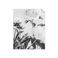 Picture of Romantic Blur Peony V _GroupedProduct_Rectangle_Portrait_Photography _GroupedProduct_Rectangle_Portrait_Unframed_Print_Only_
