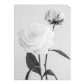 Picture of Romantic Blur Peony III _GroupedProduct_Rectangle_Portrait_Photography _GroupedProduct_Rectangle_Portrait_Unframed_Print_Only_