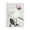 Picture of Romantic Blur Peony III _GroupedProduct_Rectangle_Portrait_Photography _GroupedProduct_Rectangle_Portrait_Unframed_Print_Only_