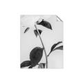 Picture of Romantic Blur Peony II _GroupedProduct_Rectangle_Portrait_Photography _GroupedProduct_Rectangle_Portrait_Unframed_Print_Only_