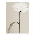 Picture of Romantic Blur Peony I _GroupedProduct_Rectangle_Portrait_Photography _GroupedProduct_Rectangle_Portrait_Unframed_Print_Only_