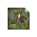 Picture of Tropical Paradise Toucan Bird _GroupedProduct_Square_Unframed_Print_Only_