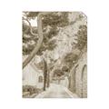Picture of Cobbled Streets in Spring _GroupedProduct_Rectangle_Portrait_Photography _GroupedProduct_Rectangle_Portrait_Unframed_Print_Only_