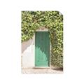 Picture of Green Door with Lush Leaves _GroupedProduct_Rectangle_Portrait_Photography _GroupedProduct_Rectangle_Portrait_Unframed_Print_Only_