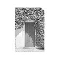 Picture of Green Door with Lush Leaves _GroupedProduct_Rectangle_Portrait_Photography _GroupedProduct_Rectangle_Portrait_Unframed_Print_Only_