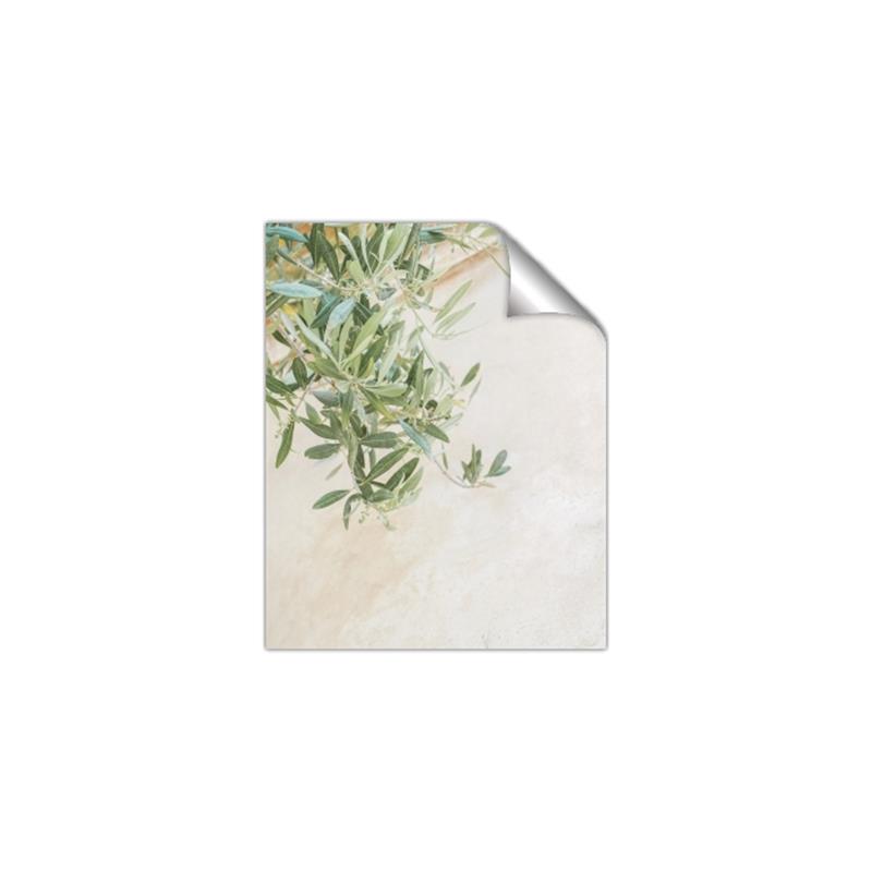 Picture of Few Olive Tree Leaves _GroupedProduct_Rectangle_Portrait_Photography _GroupedProduct_Rectangle_Portrait_Unframed_Print_Only_