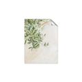 Picture of Few Olive Tree Leaves _GroupedProduct_Rectangle_Portrait_Photography _GroupedProduct_Rectangle_Portrait_Unframed_Print_Only_