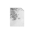 Picture of Few Olive Tree Leaves _GroupedProduct_Rectangle_Portrait_Photography _GroupedProduct_Rectangle_Portrait_Unframed_Print_Only_
