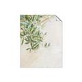 Picture of Few Olive Tree Leaves _GroupedProduct_Rectangle_Portrait_Photography _GroupedProduct_Rectangle_Portrait_Unframed_Print_Only_
