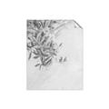 Picture of Few Olive Tree Leaves _GroupedProduct_Rectangle_Portrait_Photography _GroupedProduct_Rectangle_Portrait_Unframed_Print_Only_