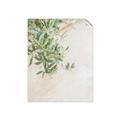 Picture of Few Olive Tree Leaves _GroupedProduct_Rectangle_Portrait_Photography _GroupedProduct_Rectangle_Portrait_Unframed_Print_Only_