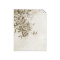 Picture of Few Olive Tree Leaves _GroupedProduct_Rectangle_Portrait_Photography _GroupedProduct_Rectangle_Portrait_Unframed_Print_Only_