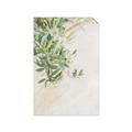 Picture of Few Olive Tree Leaves _GroupedProduct_Rectangle_Portrait_Photography _GroupedProduct_Rectangle_Portrait_Unframed_Print_Only_