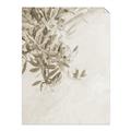 Picture of Few Olive Tree Leaves _GroupedProduct_Rectangle_Portrait_Photography _GroupedProduct_Rectangle_Portrait_Unframed_Print_Only_