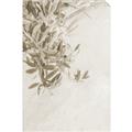 Picture of Few Olive Tree Leaves _GroupedProduct_Rectangle_Portrait_Photography _GroupedProduct_Rectangle_Portrait_Unframed_Print_Only_