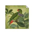 Picture of Vintage Tropical Birds II _GroupedProduct_Square_Unframed_Print_Only_