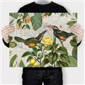 Picture of Parrots Nostalgic Journey 2 _GroupedProduct_Rectangle_Landscape_Canvas_