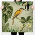Picture of Yellow Nostalgic Tropical Birds _GroupedProduct_Square_Canvas_
