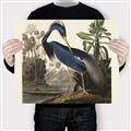 Picture of Vintage Heron Bird _GroupedProduct_Rectangle_Landscape_Canvas_