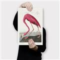 Picture of Vintage Pink Flamingo _GroupedProduct_Rectangle_Portrait_Canvas_