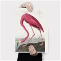 Picture of Vintage Pink Flamingo _GroupedProduct_Rectangle_Portrait_Canvas_