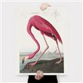 Picture of Vintage Pink Flamingo _GroupedProduct_Rectangle_Portrait_Canvas_