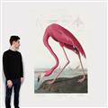 Picture of Vintage Pink Flamingo _GroupedProduct_Rectangle_Portrait_Canvas_