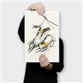 Picture of Two Yellow Warbler Birds _GroupedProduct_Rectangle_Portrait_Canvas_