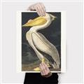 Picture of Vintage White Pelican _GroupedProduct_Rectangle_Portrait_Canvas_