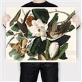 Picture of Black Billed Cuckoo Bird _GroupedProduct_Rectangle_Landscape_Canvas_