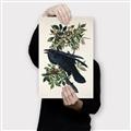 Picture of Raven From Birds of America (1827) _GroupedProduct_Rectangle_Portrait_Canvas_
