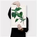 Picture of Nostalgic Green Lilac Leaves _GroupedProduct_Rectangle_Portrait_Canvas_