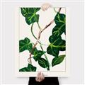 Picture of Nostalgic Green Murgrona Leaves _GroupedProduct_Rectangle_Portrait_Canvas_