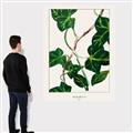 Picture of Nostalgic Green Murgrona Leaves _GroupedProduct_Rectangle_Portrait_Canvas_