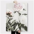 Picture of Romantic Blur Peony V _GroupedProduct_Rectangle_Portrait_Photography _GroupedProduct_Rectangle_Portrait_Canvas_