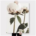 Picture of Romantic Blur Peony IV _GroupedProduct_Rectangle_Portrait_Photography _GroupedProduct_Rectangle_Portrait_Canvas_