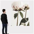 Picture of Romantic Blur Peony IV _GroupedProduct_Rectangle_Portrait_Photography _GroupedProduct_Rectangle_Portrait_Canvas_