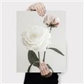Picture of Romantic Blur Peony III _GroupedProduct_Rectangle_Portrait_Photography _GroupedProduct_Rectangle_Portrait_Canvas_