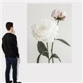 Picture of Romantic Blur Peony III _GroupedProduct_Rectangle_Portrait_Photography _GroupedProduct_Rectangle_Portrait_Canvas_