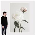 Picture of Romantic Blur Peony III _GroupedProduct_Rectangle_Portrait_Photography _GroupedProduct_Rectangle_Portrait_Canvas_